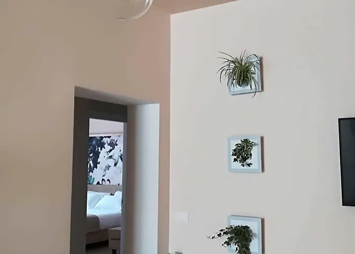 Alojamento de Acomodação e Pequeno-almoço Sece - Luxury 3*